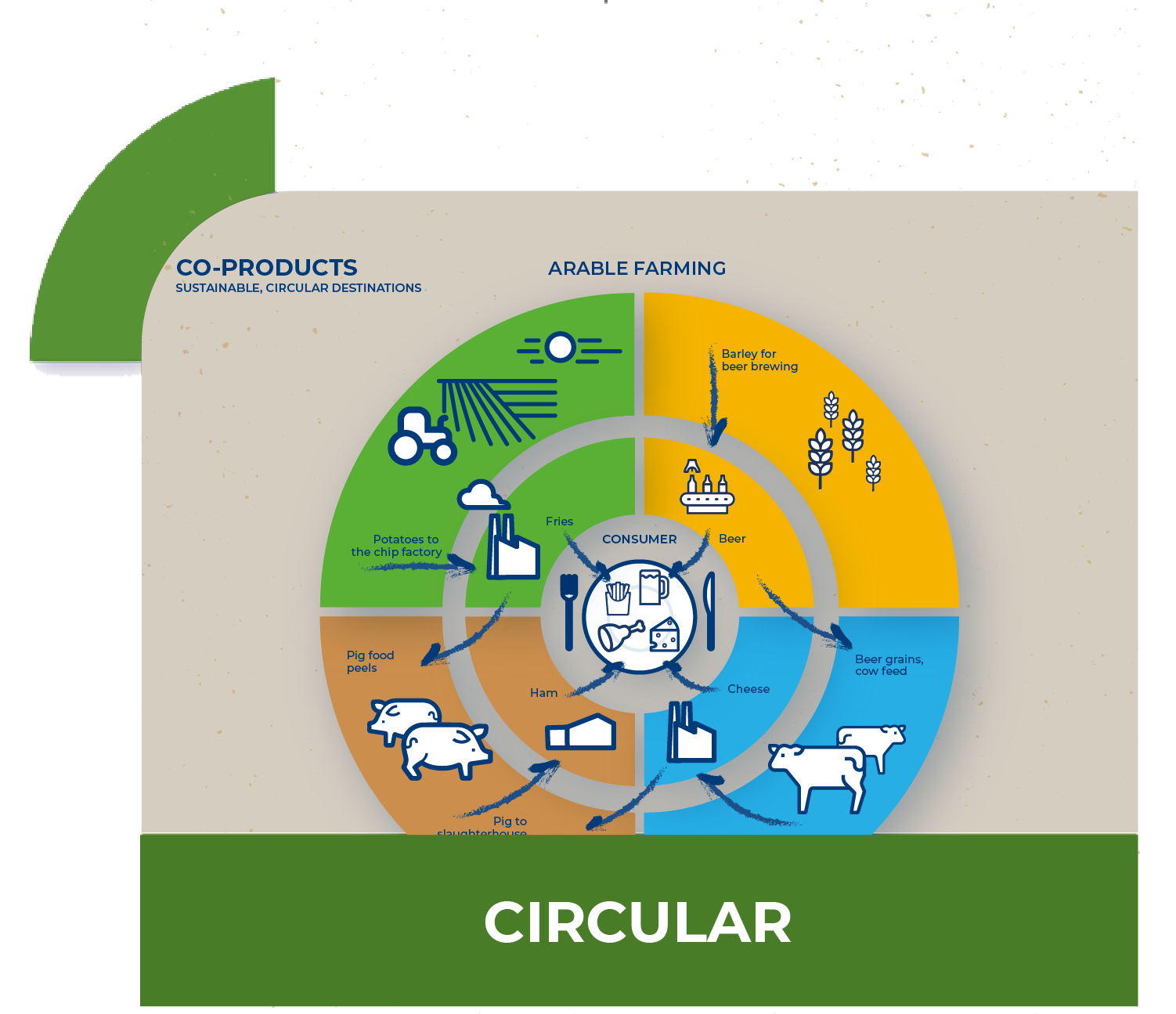 circulair feed infographic EN